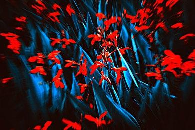 NEOWIZ 举办叙事类独立游戏开发大赛‘NEOWIZ Quest