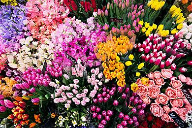 《神之亵渎2》DLC预告片上线 11月1日发售