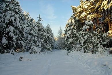 VR游戏《地铁：觉醒》Steam页面 支持简中